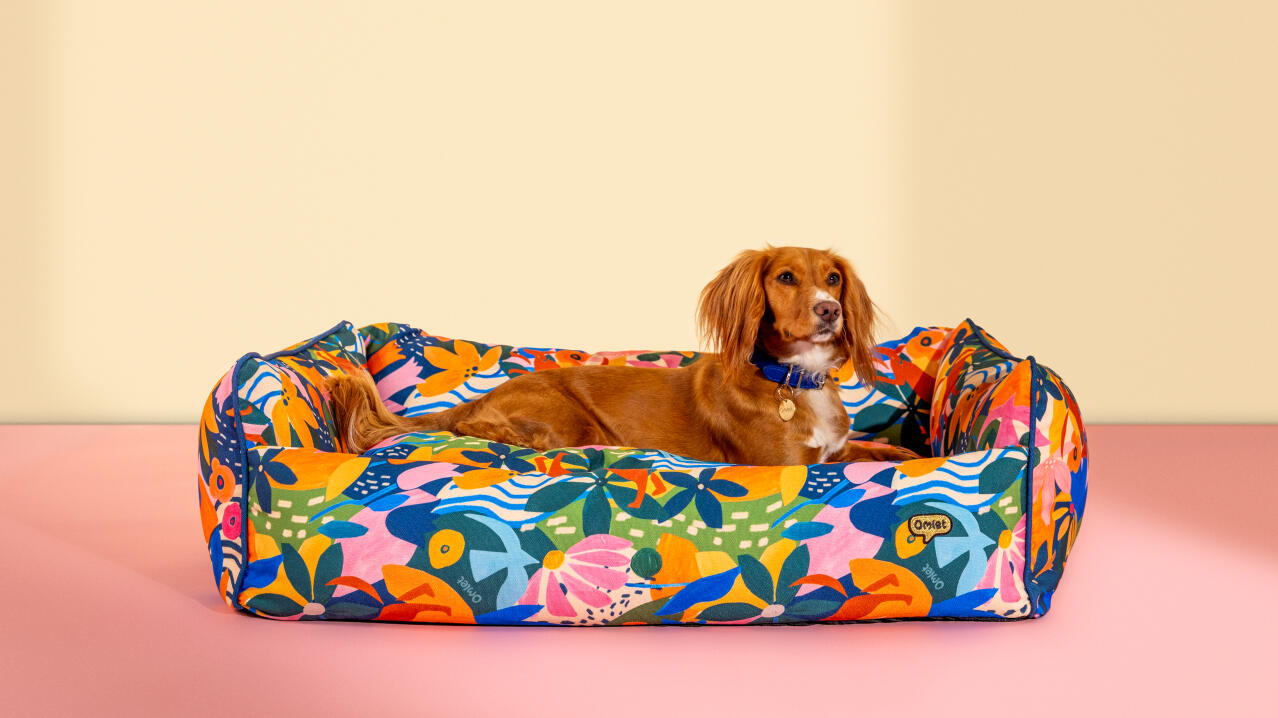 Pies odpoczywający w kolorowym wzorzystym leGowisku dla psa od Omlet