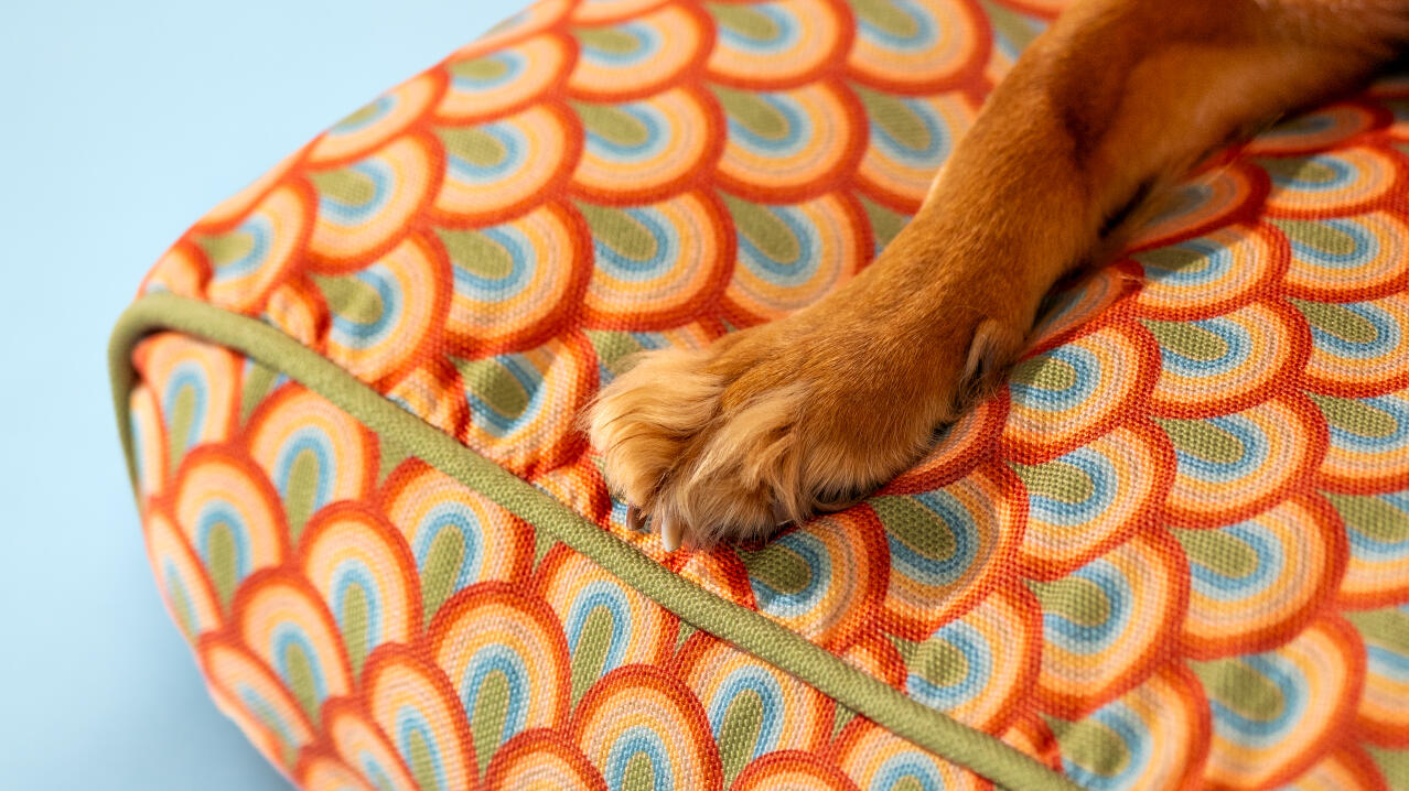 Zbliżenie łapy na kolorowym, wzorzystym leGowisku dla psa
