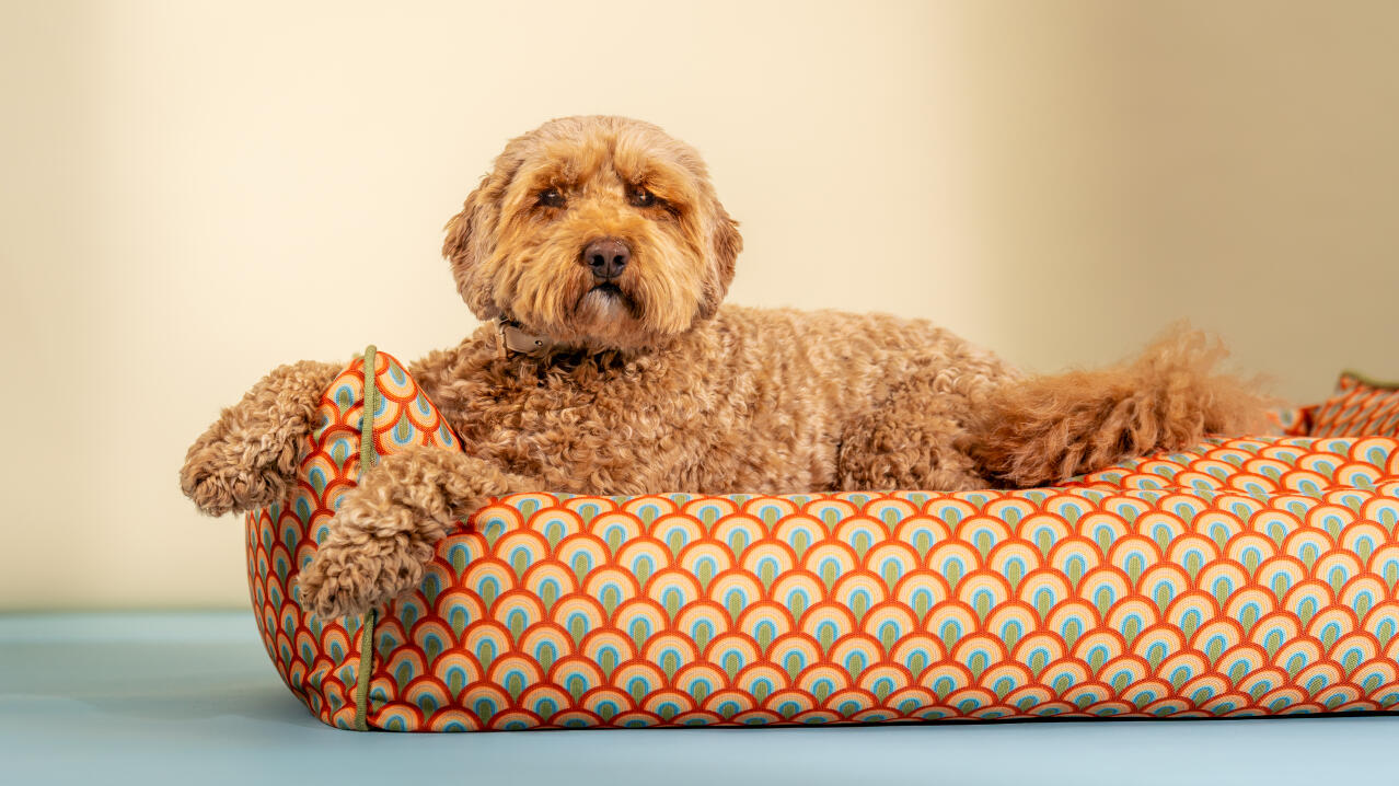 Przytulne leGowisko dla psa w żywym, designerskim wzorze