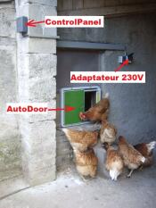Adapter z adresem Autodoor i mnóstwem kurczaków