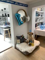 Pies otoczony prezentami urodzinowymi, na swoim nowym szarym posłaniu