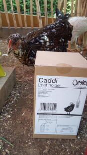  Caddi uchwyt na smakołyki dla kurcząt firmy Omlet.