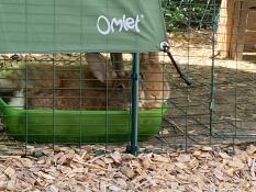 Dwa króliki ukrywające karmnik Omlet.